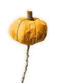 Artificial Small Pumpkins Decorating for Fall, Thanksgiving Decor for Table, or Farmhouse Fall Decor | Farmhouse World
