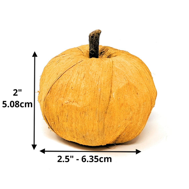 Artificial Small Pumpkins Decorating for Fall, Thanksgiving Decor for Table, or Farmhouse Fall Decor | Farmhouse World