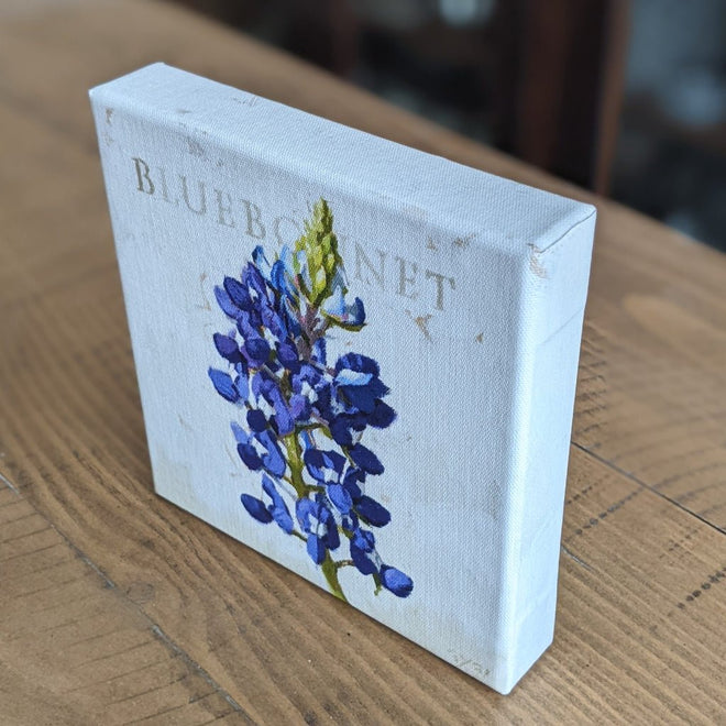 Bluebonnet of Texas Flower Gallery Wrapped Canvas Wall Art - 5" to 48" Sizes | Farmhouse World