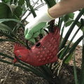 Fun Novelty Animal Metal Watering Cans | Farmhouse World