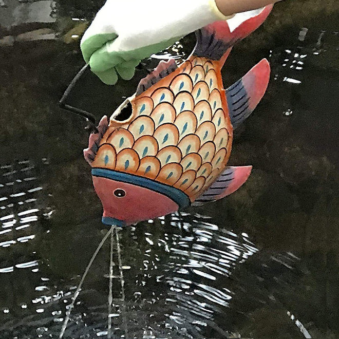 Clown Fish Watering Can | Farmhouse World