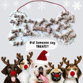 Dog Advent Calendar 2021 Christmas | Farmhouse World