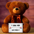 I Love You This Much Teddy Bear | Farmhouse World