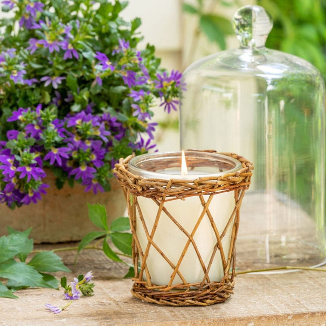 Park Hill Candle Grace and Gardenia Scent 12oz | Farmhouse World