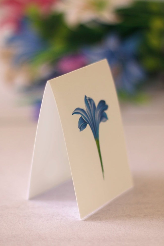 Pop-Up Flower Bouquet Greeting Card - Lilies & Lupines | Farmhouse World