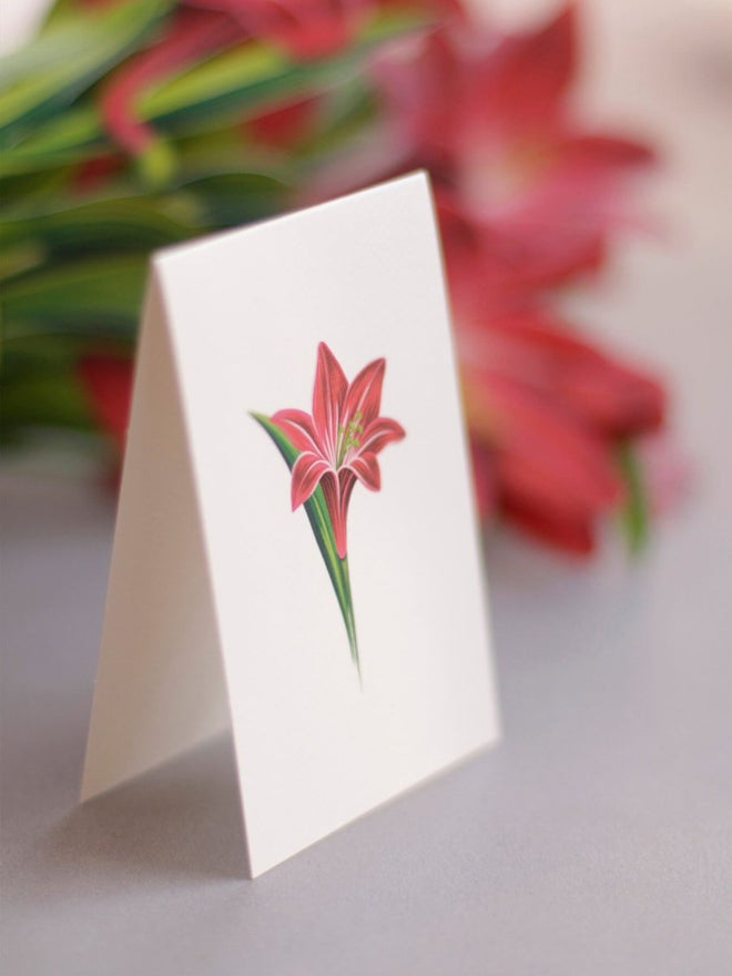 Pop-Up Flower Bouquet Greeting Card - Red Amaryllis | Farmhouse World