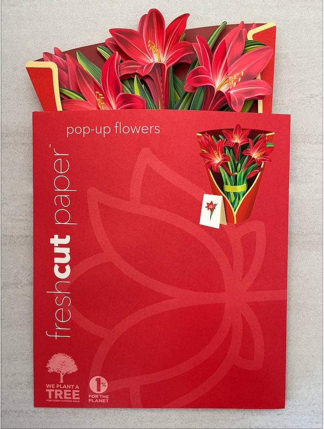 Pop-Up Flower Bouquet Greeting Card - Red Amaryllis | Farmhouse World