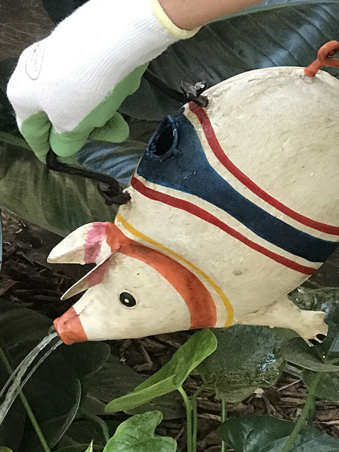 Retro Scooter Pig Watering Can for Indoor or Outdoor Use | Farmhouse World