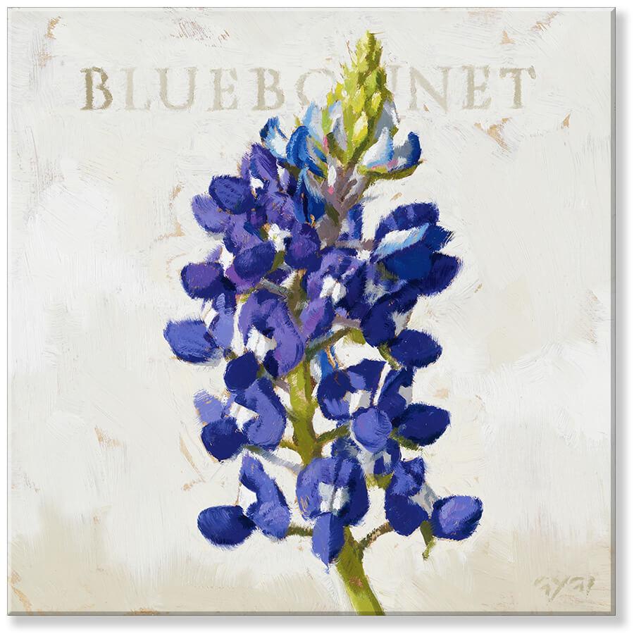 Texas Home Decor