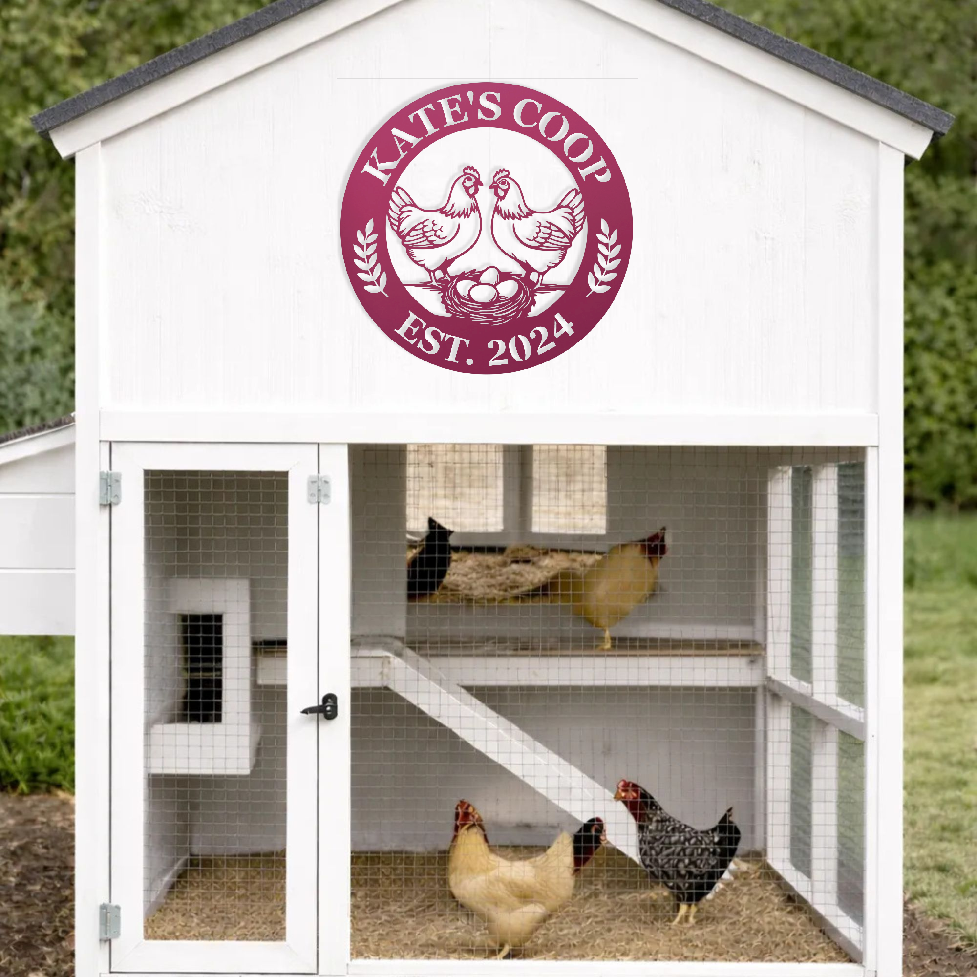 Chicken lover gift for new chicken owner