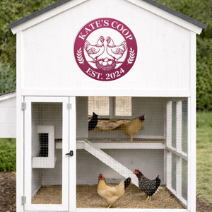 Chicken lover gift for new chicken owner