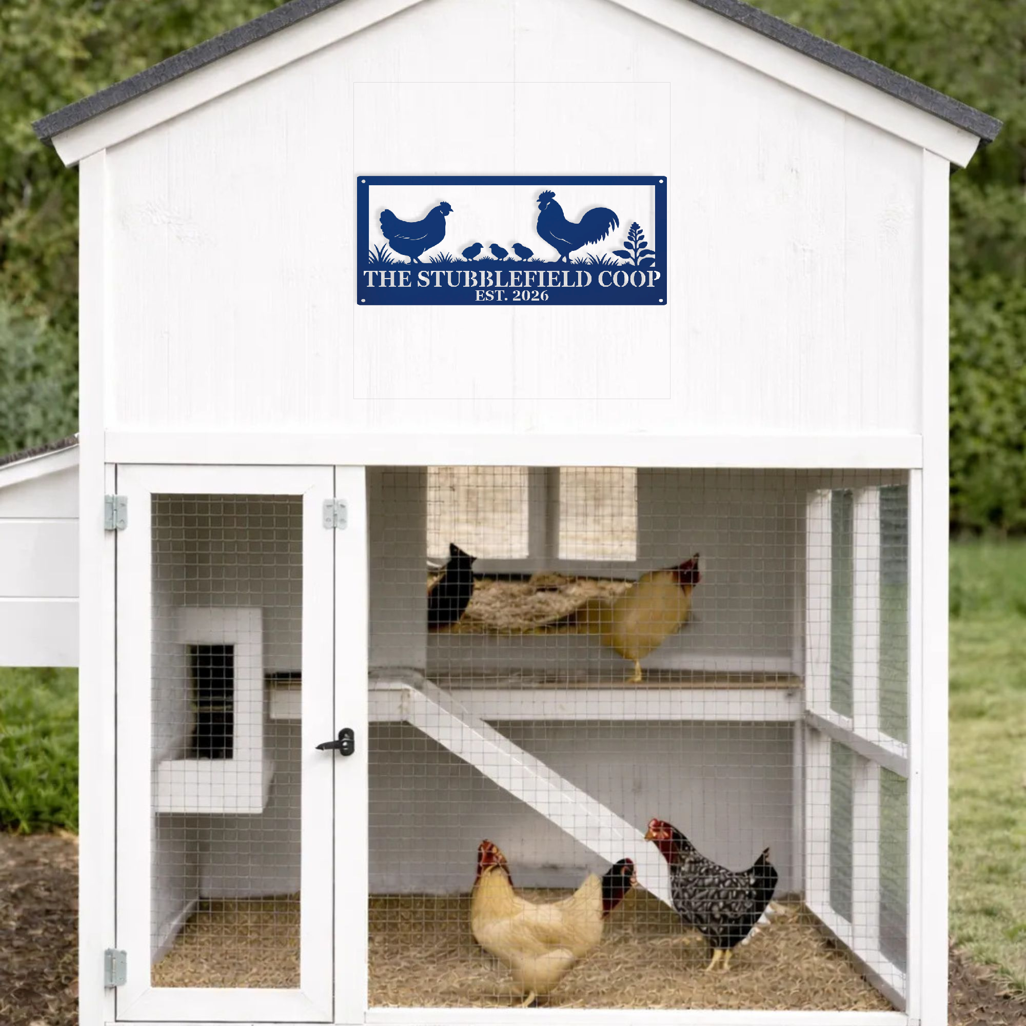 White chicken coop with personalized name and date sign and chickens inside