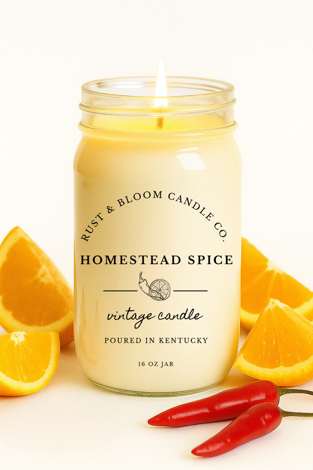 Homestead Spice 16 Oz Candle | Farmhouse World