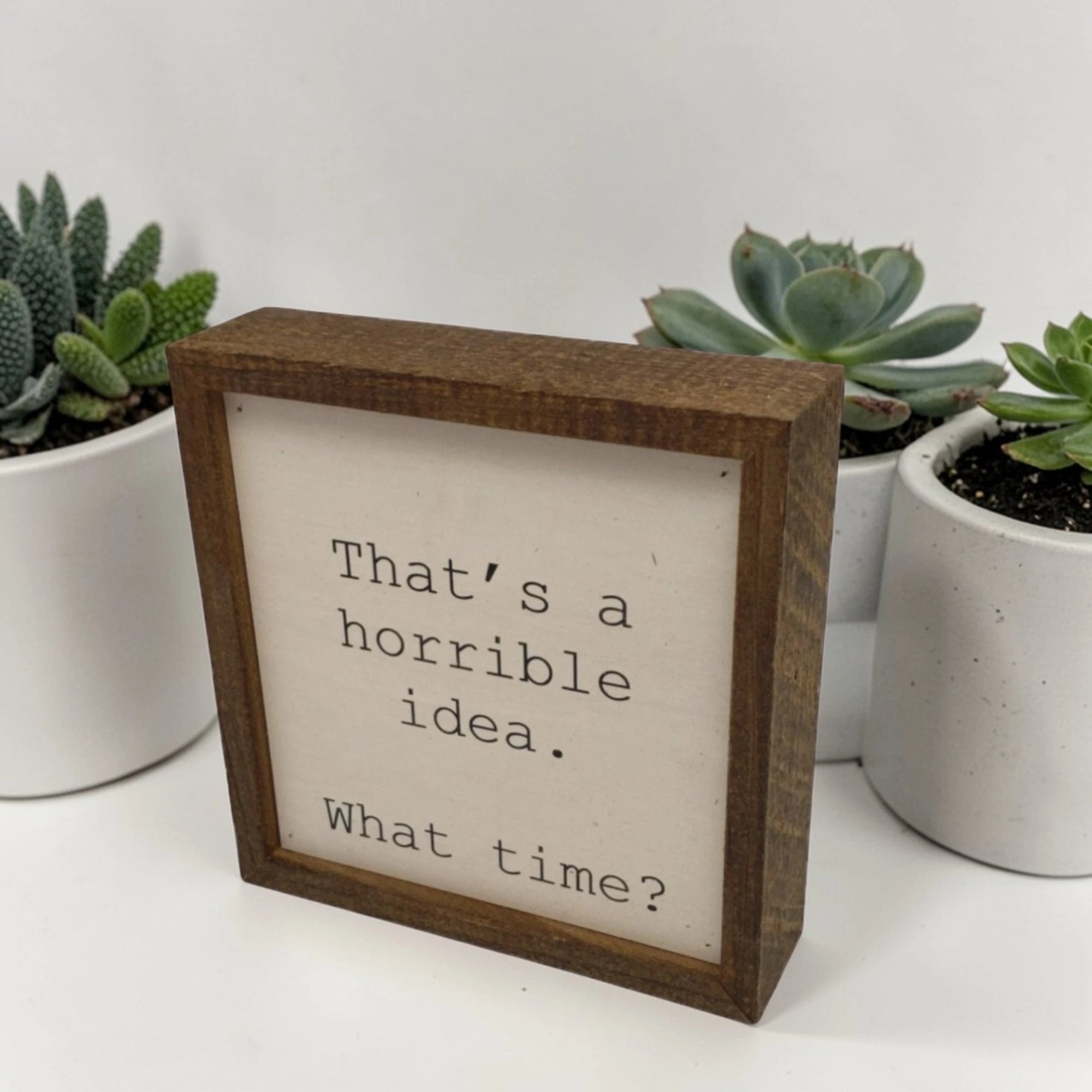 Wooden sign with text 'That's a horrible idea. What time?' in front of potted succulents.