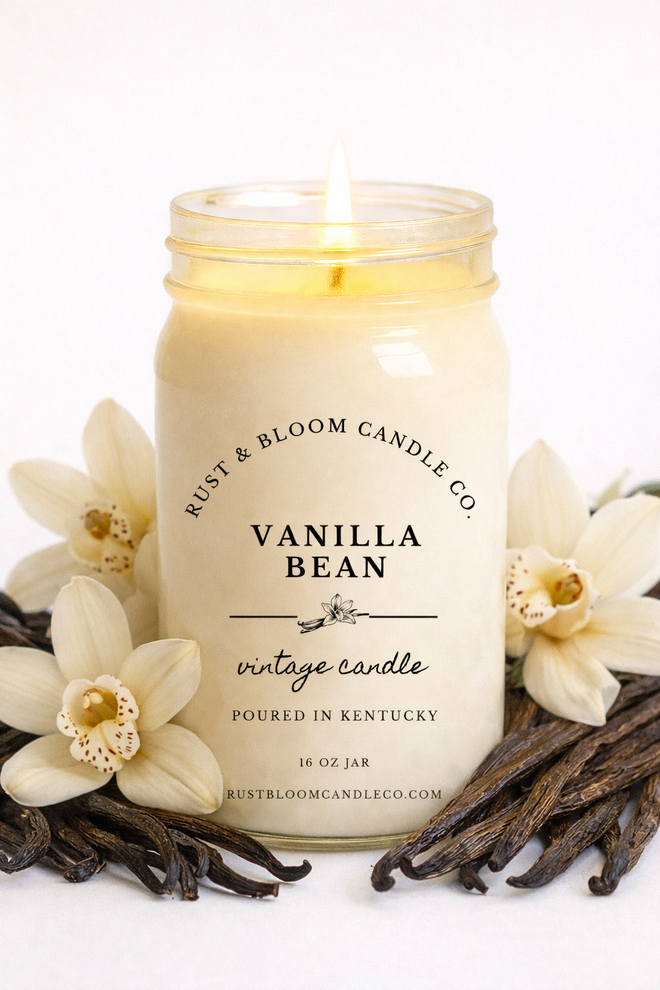 Vanilla Bean 16 Oz Candle
