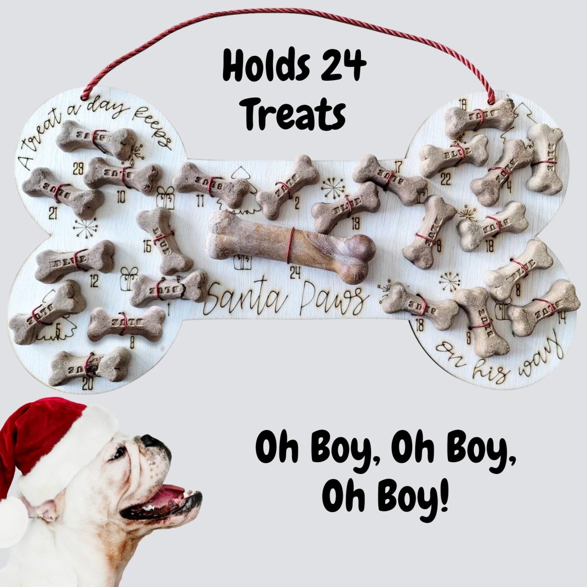 pet-advent-calendar-for-dogs-christmas