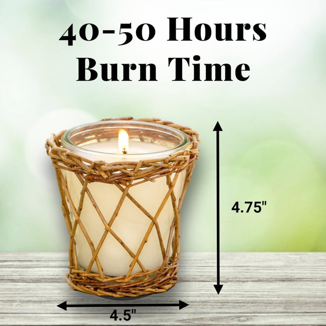 Park Hill Candle Lemon Verbena 12oz | Farmhouse World