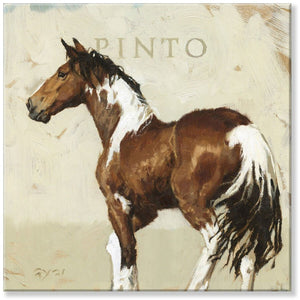 Pinto Horse Gallery Wrapped Canvas Wall Art - 5" to 48" Sizes | Farmhouse World