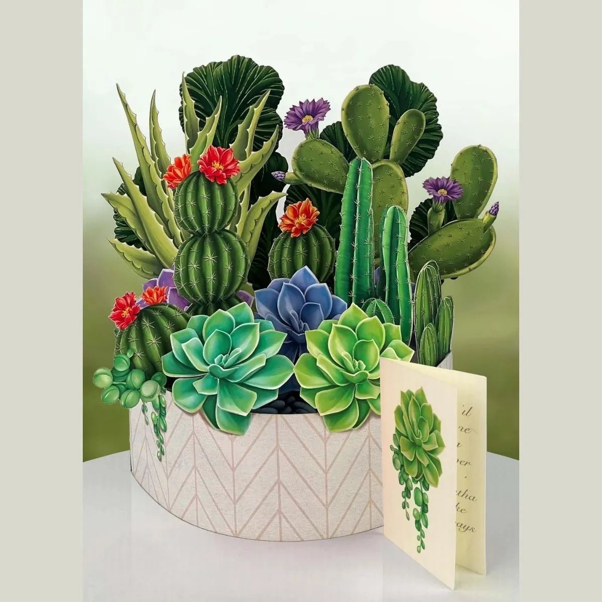 3D cactus garden pop up flower bouquet greeting card in geometric planter with succulents