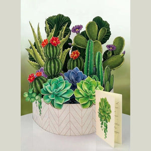3D cactus garden pop up flower bouquet greeting card in geometric planter with succulents