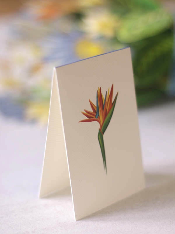 Pop-Up Flower Bouquet Greeting Card - Tropical Bloom | Farmhouse World