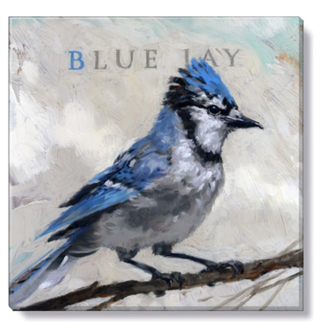 Blue Jay Canvas Art | Farmhouse World