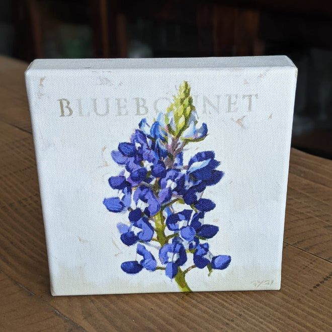 Bluebonnet of Texas Flower Gallery Wrapped Canvas Wall Art - 5" to 48" Sizes | Farmhouse World