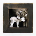 Newborn Sheep Print Framed in Reclaimed Barnwood 8" | Farmhouse World